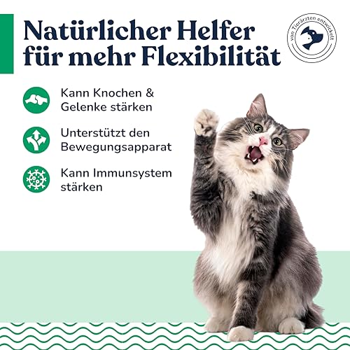felmo Knochen- & Gelenkpaste für Katzen mit Glucosamin, Chondroitin, MSM und Teufelskralle – Malzpaste in der 100 g Tube, zuckerfrei und in Deutschland aus sorgfältig ausgewählten Zutaten hergestellt
