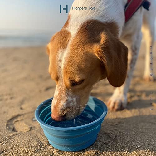 Harpers Tale Collapsible Travel Dog Bowls, Medium & Large Bowls 400ml 1000ml Two Pack, Integrated Molding, No Plastic Rim, Food Safe Silicone, Sturdy Carabiner Clip, Lightweight & Leak-Proof, BPA-Free (Two Pack - M & L)