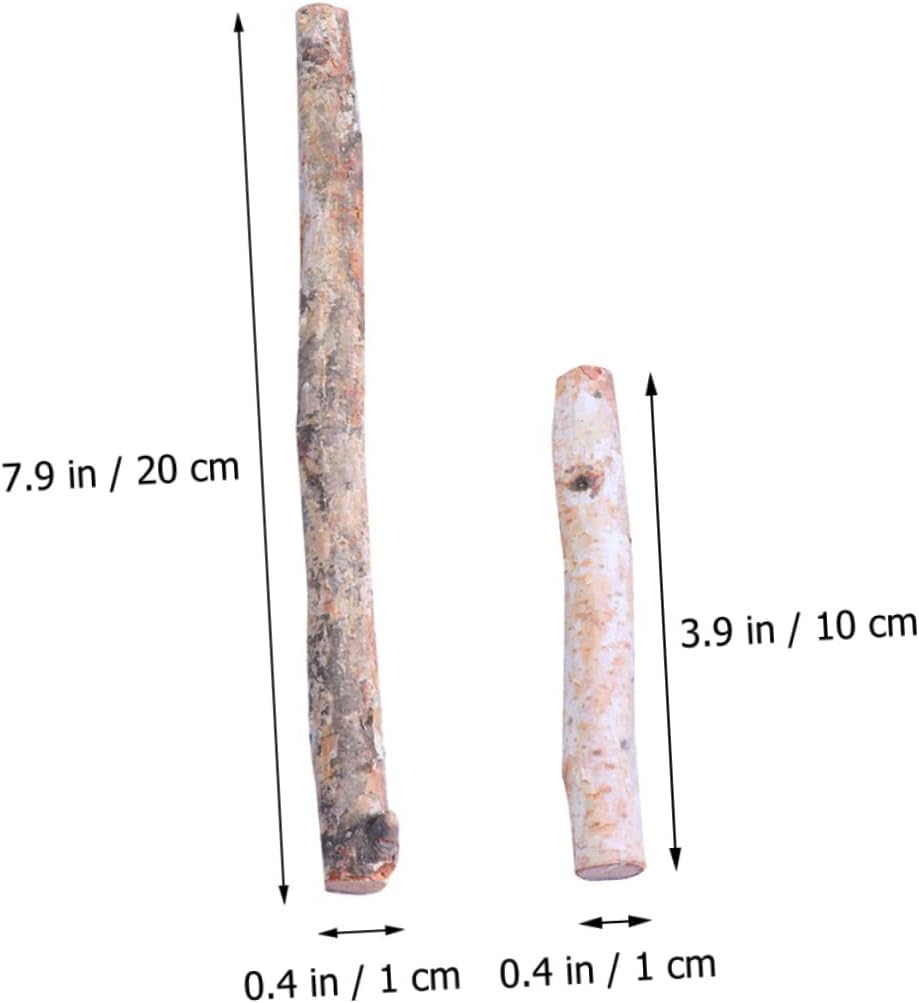 40pcs Natural Birch Branches for Decoration Rustic Twigs for Crafts Centerpieces and Home Decor Weddings Events and Seasonal Celebrations