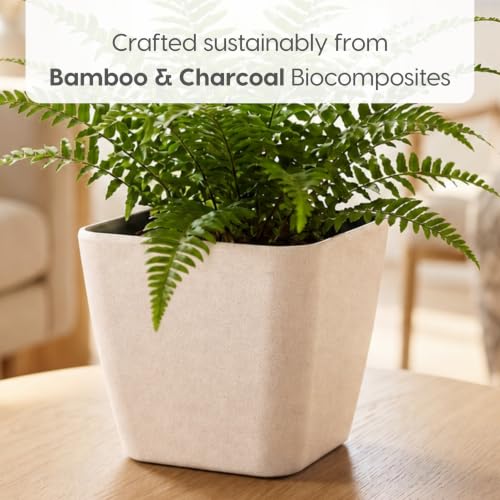 Image of Eha Earth-Friendly Daisy 9 inch Pots and Planters Made with Rice Husk, Set of 2