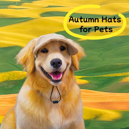 Pet Baseball Cap with Ear Holes - Multi-Color Sun Visor Hat for Dogs & Cats, Summer & Fall Beach Headwear for Puppies & Kittens (Blue, M)