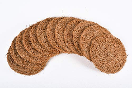 See full amazon price history chart for Palmera Natural Coir Utensil Washing Scrub (Pack of 12) Palmera Natural Coir Utensil Washing Scrub (Pack of 12) (B07CVSR642) Amazon Price History, Amazon Price Tracker