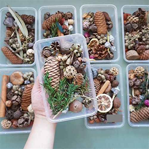 Material Artesanal DIY Caja Mixta de Flores Secas Decorativas miniatura 5