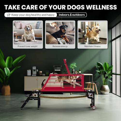 PURRPAXZ Dog Treadmill for Large Dogs with Hand Brake - 91\" Indoor/Outdoor Dog Running Machine Exercise Equipment, Helps Dogs Release Energy and Build Stamina, Ideal for American Pet Owners
