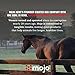 Mojo Joint Horse Supplements, Equine Pelleted Supplement, All Natural Joint Care Supplement for Horses, 10 lbs