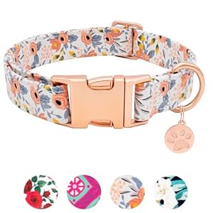 Soft Cotton Dog Collar, Adjustable Durable Dog Collar with Metal Buckle, Orange Floral with Pendant Girl Boy Dog Collars Gift for Small Medium Large Dogs, S