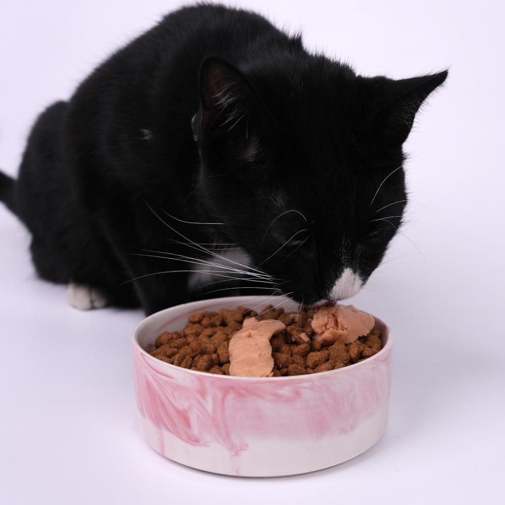 Cremige Snacks für Katzen, Püree, weiche Leckereien mit Taurin und Vitaminen, ohne Konservierungsstoffe, sehr schmackhaft, nasser Snack, fettarm, ohne Zuckerzusatz (50 x 15 g, Huhn)