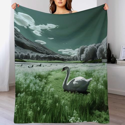 Couverture flannel moelleuse et chaude lavable grand format 180x200cm