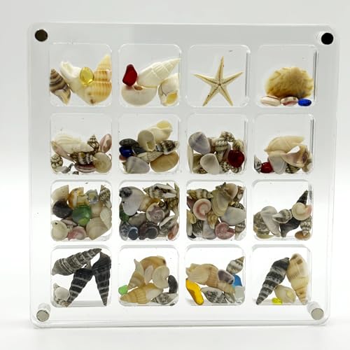 Image of Acrylic Magnetic Seashell Display Box,DIY Seashell Display Box,Clear Storage Box for Seashell,Gemstones,Nail,Jewelry (1Pc 16 Grids Medium)