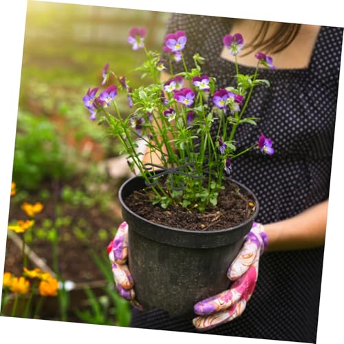 Image of BESPORTBLE 12pcs Reusable Plant Support Clips Black Stem Holders for Climbing Vines and Orchids Easy Installation Plant Fixing Hooks Growth
