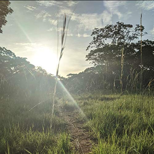 Episode 14 - Aaron's anti-poaching adventure in Zambia