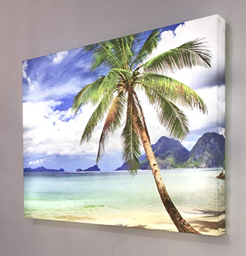 Tableau éclairé avec LED Palmier Ccretro-luminados en méthacrylate multicolore 60 x 80 cm