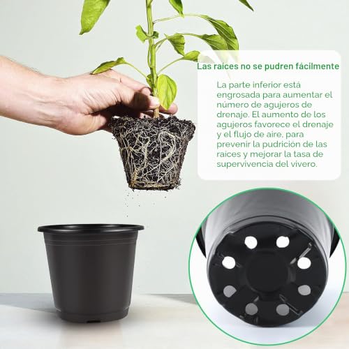 Miniatura 4 de Augshy 150 Piezas Macetas Plastico, 10 6cm Macetas Pequeñas, Maceta Redonda De Seguro Pequeñas Para Propagación De Plántulas Suculentas, Trasplante De Esquejes Negro