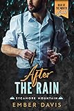Cover zum Buch After the Rain