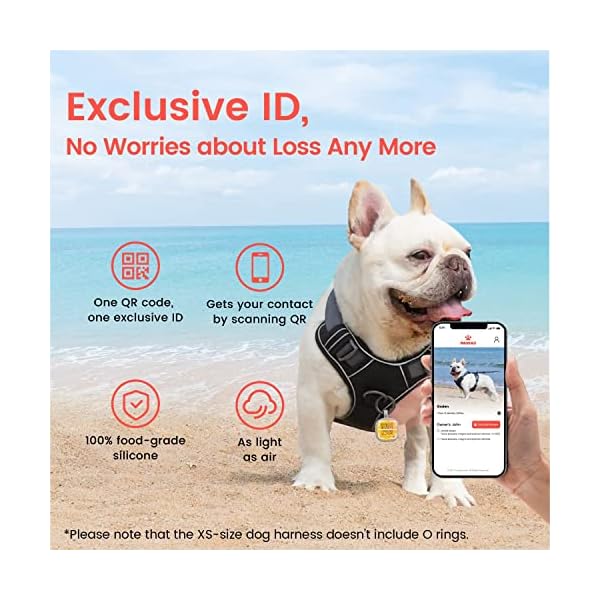 Pawaii Dog Harness for Small Dogs, Dog Harness with Pet ID Tag, No Choke Dog Harness, Adjustable Soft Padded Pet Vest with Easy Control Handle Pawaii Dog Harness for Small Dogs, Dog Harness with Pet ID Tag, No Choke Dog Harness, Adjustable Soft Padded Pet Vest with Easy Control Handle