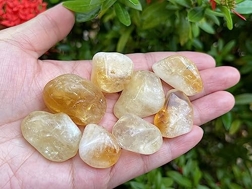 Image of GAF TREASURES 1 /2 LB Citrine Tumbled Stones, Polished Citrine Gemstone, Citrine Healing Crystals (Citrine)