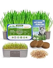 PLANTMEW Cat Grass Kit for Indoor Cats - 3 Pack | Organic Wheat Grass Seeds, Grows in 7 Days | Digestive Health &amp; Reduces Hairball | Gift for Cat Lovers with BPA-Free Planters, Soil &amp; Non-GMO Seeds