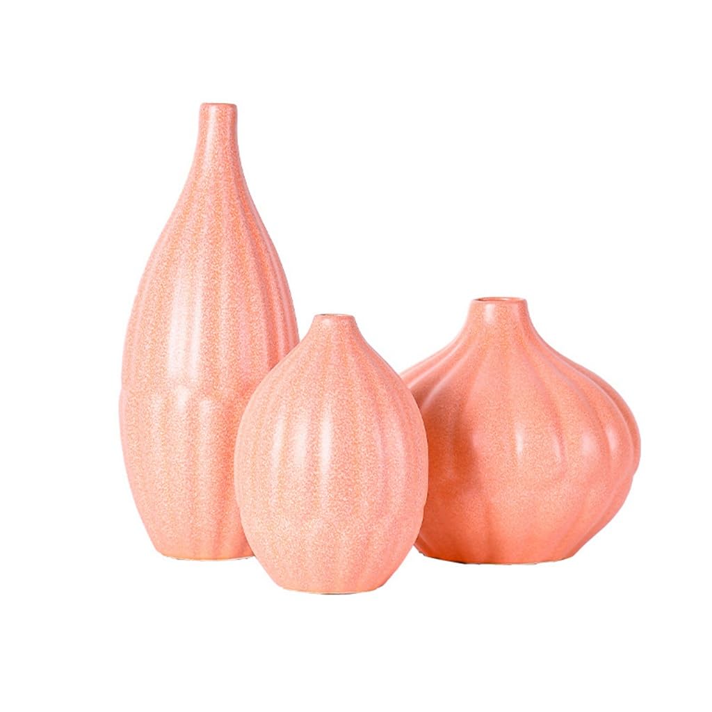 Vase en céramique hydroponique JFDBGU pour décoration de salon et fleurs