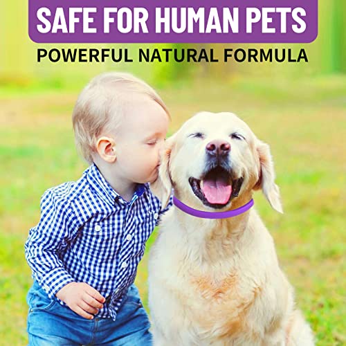 Collare Calmante per Cani, Collare Calmante