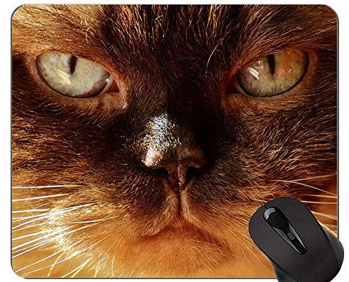 �}�E�X�p�b�h�AShorthair�L�����y�b�g�T���}�E�X�p�b�h�A�J�X�^�}�C�Y���ꂽ�G�b�W�����u���e�B�b�V���V���[�g�w�A�}�E�X�p�b�h