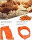 LEEQBCR 100 PCS 1-100 GeflüGel FußRinge BrieftaubenfußRing KleingeflüGel Klemmringe HäHnchen Beinringe Taubenring,für Enten Küken Huhn Meertauben Gans Wildgeflügel Pute, orange, verstellbar