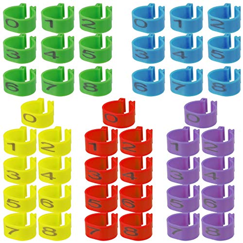 The Best Name Tags for Chickens An Essential Guide to Choosing the