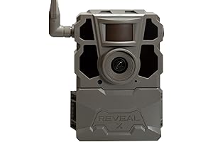 Tactacam Reveal X Pro: Unleashing Clarity in the Wild