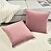 Rythome Set of 2 Comfortable Throw Pillow Cover for Bedding, Decorative Accent Cushion Sham Case for Couch Sofa, Soft Solid Velvet with Zipper Hidden - 18