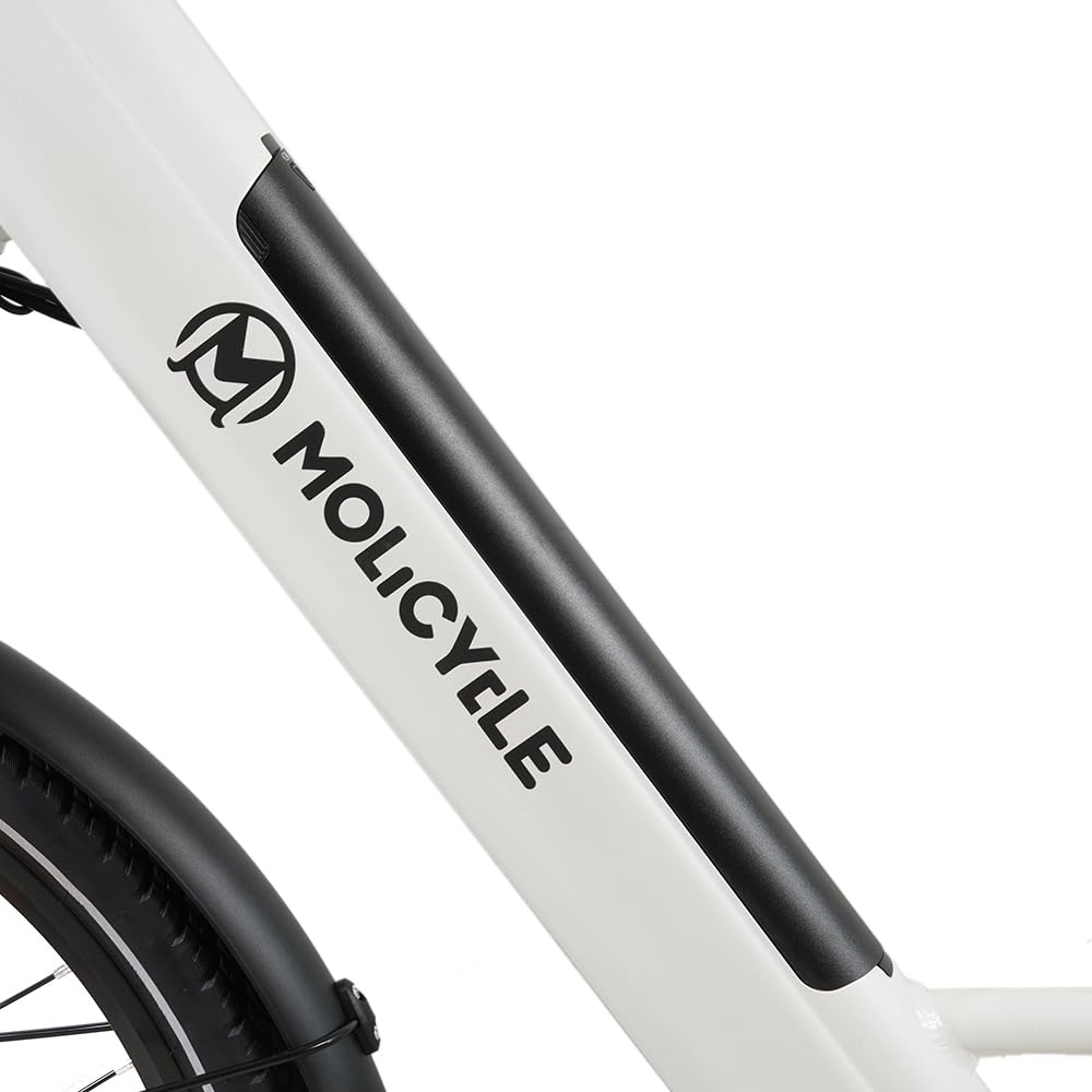 R1 E-Bike Damen 27.5 Zoll Tiefeinsteiger Trekkingrad E-Cityrad | 36V 14.5Ah Wechselakku, Bis zu 110km, 7 Gang Schaltwerk, 250W Heckmotor, Hydraulische Scheibenbremsen, EU-konform