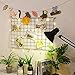 BULYZER Grid Wire Board,for Memo Picture Panel Wall Decoration for Room Office Mat Photo Hanging Art Display Frames Desk Storage Organizer