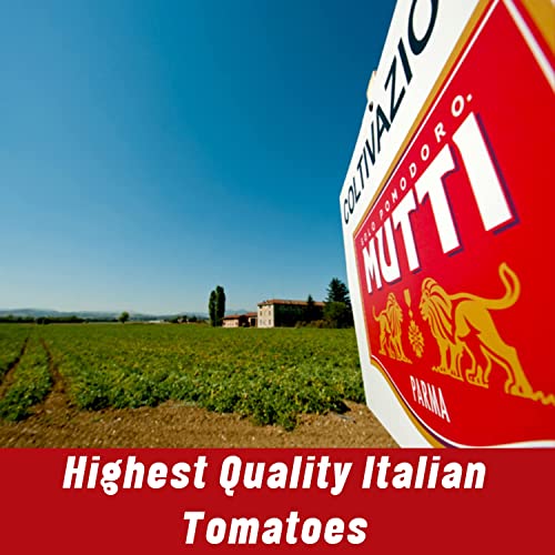 image for Mutti Cherry Tomatoes (Ciliegini), 14 oz. | 12 Pack | Italy’s #1 Bra