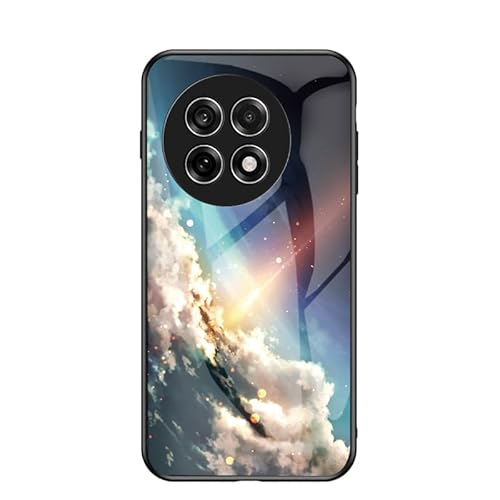 Ή@ for OnePlus 13R / Ace 5 / Ace 5 Pro 2 in 1iKXobNv[g{TPU\tgGbWjϏՌX}zP[X Glod