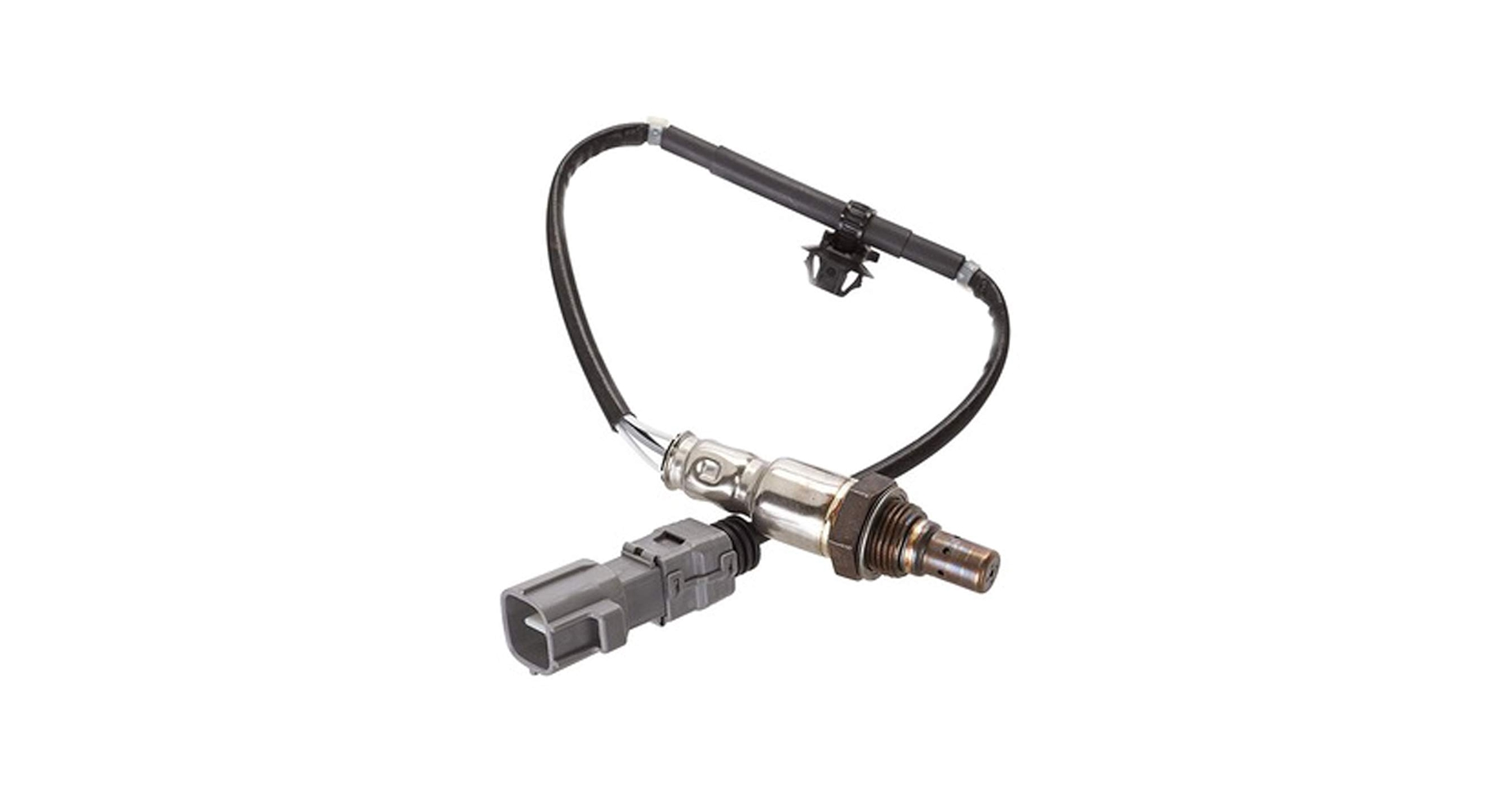 シーガーエリオス GvvwALpbIAARYIr.jpg