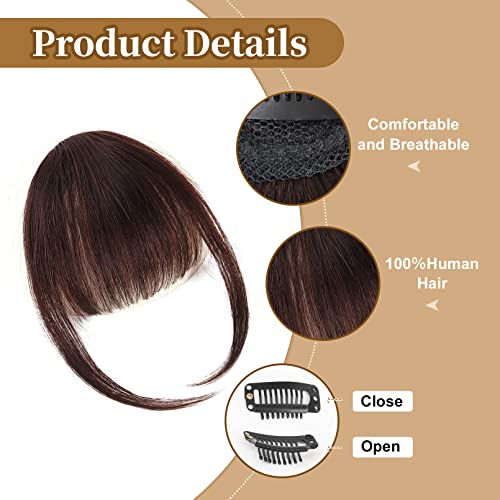 Flufymooz Clip In Bangs 100% Human Hair, Bangs Hair Clip Extensions, Clip On Bangs Wispy Bangs French Bangs Fringe With Temples Hairpieces For Women, Fake Bangs For Daily Wear(Wispy Bangs Dark Red Brown ) #TOP2