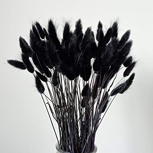 Lot de 110 tiges d'herbe séchée en queue de lapin pour décoration de mariage Noir Cover