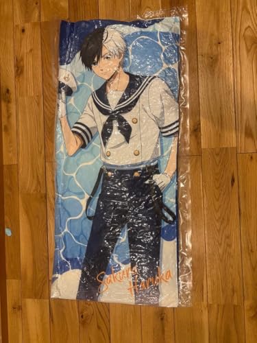 桜遥WIND BREAKER ビッグクッション Marine Style J