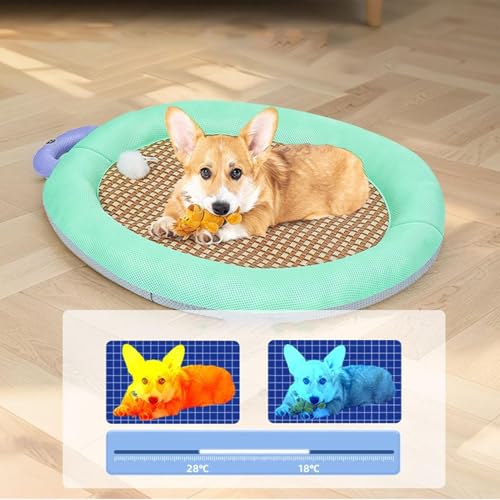 Lit robuste et résistant aux morsures pour chiots et grands chiens - 3