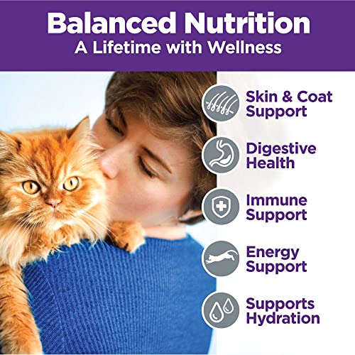 Image of Wellness Complete Health Pate Variety Pack Adult Canned Wet Cat Food, Natural, Protein Rich, Grain Free, Chicken and Turkey Favorites, 5.5 oz, Pack of 12 Cans