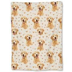 Golden Retriever05
