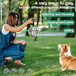CHUKCHI-Dog-Toys-Soccer-Ball-with-Straps-Interactive-Dog-Toys-for-Tug-of-WarPuppy-Birthday-GiftsDog-Water-ToyDog-Tug-ToyDurable-Dog-Balls-for-Small-Medium-Large-Dog8-inch - Cucciolini Doodles   CHUKCHI-Dog-Toys-Soccer-Ball-with-Straps-Interactive-Dog-Toys-for-Tug-of-WarPuppy-Birthday-GiftsDog-Water-ToyDog-Tug-ToyDurable-Dog-Balls-for-Small-Medium-Large-Dog8-inch