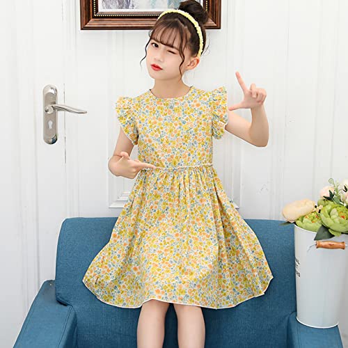 Little Girl Dresses Girls Toddler Kids Crew Neck Summer Sleeveless Sundress Casual Beach Floral Prints Party3