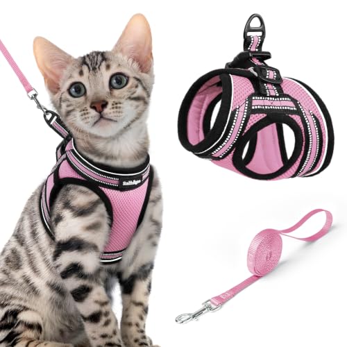 Image of rabbitgoo Cat Harness and Leash Set, Step-in Soft Vest, Pink | Escape Proof, Lightweight, Easy-on & Adjustable, Hook & Loop with Buckle, Reflective, for Small Cats Walks, XL