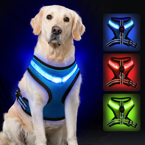 AUAUY Hundegeschirr Leuchtend, Leuchtgeschirr LED Aufladbar Reflektierendes, 3Modus Atmungsaktiv Leucht Geschirr mit 1.5M Leine Verstellbar Hunde Sicherheitswestenlichter für Nachtspaziergänge-Blau/XS