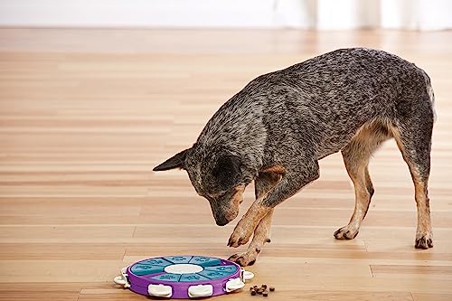 Outward Hound by Nina Ottosson Dog Twister Treat Puzzle Enrichment Toy, Level 3 Advanced, Purple, Dog Twister (Purple, Blue)