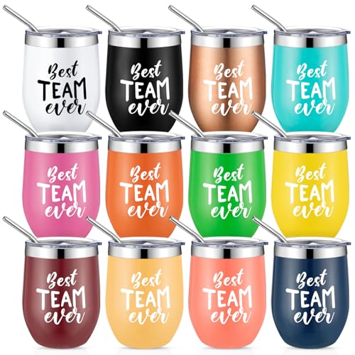 Skylety 12 Pcs Appreciation Employee Gifts Best Team Ever Tumblers Thank You Gifts for Staff Coworker 12 oz Stainless Steel Insulated Motivation Tumbler with Lid Straw for Teacher Nurse (Multicolor)