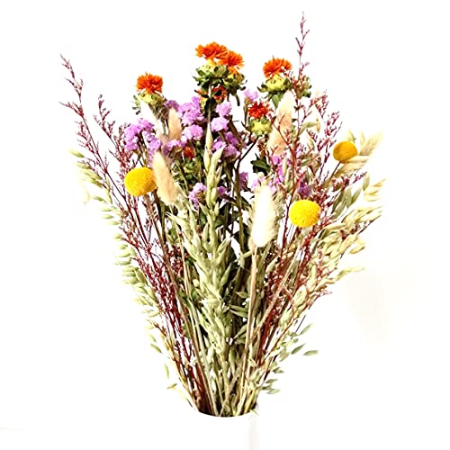 Ramo de flores secas otoño decorativo natural miniatura 2