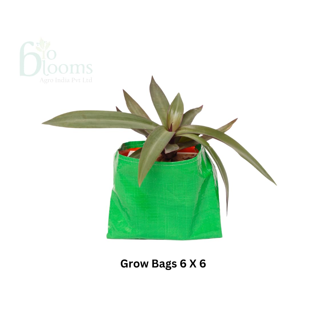 HDPE Plant Grow Bags - 6x6 Inch (Pack of 10) -2