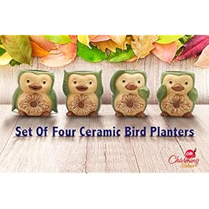 Bird/Penguin Mini Succulent Pots, 3.6x3.5x2.3,Ceramic Animal Succulent planters,Cute Set- 4 Small Flower pots,Cactus Animal Planter, Indoor/Outdoor Plant Pot,Funny Planters with Drainage Hole BirdPenguin Mini Succulent Pots 36x35x23Ceramic Animal Succulent plantersCute Set 4 Small Flower potsCactus Animal Planter IndoorOutdoor Plant PotFunny Planters with Drainage Hole