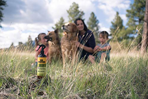 Dog Whisperer Tick + Flea Repellent, All-Natural, Extra Strength, Effective on Dogs and Their People 16 oz (2-Pack)