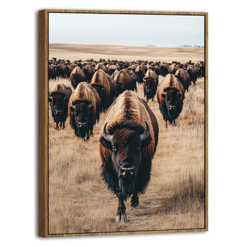Image of Buffalo Wall Art Western Bison Cow Pictures Wall Decor Framed American Bison Herd Decor Rustic Wildlife Animals Canvas Prints Farmhouse Cabin Lodge Decor for Living Room Bedroom Home Decoration 16x24